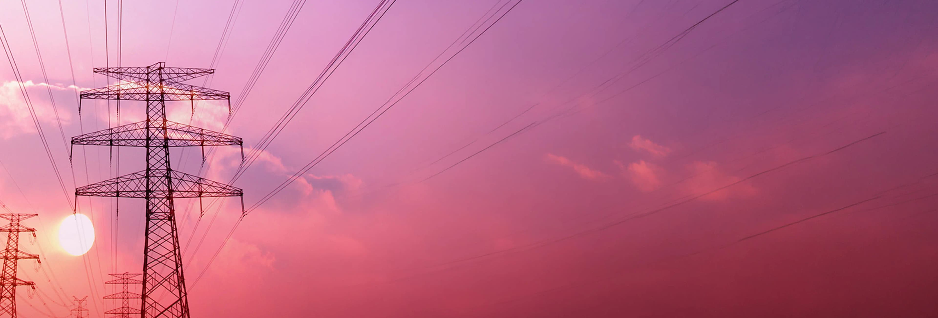 Supported Electricity Billers Background