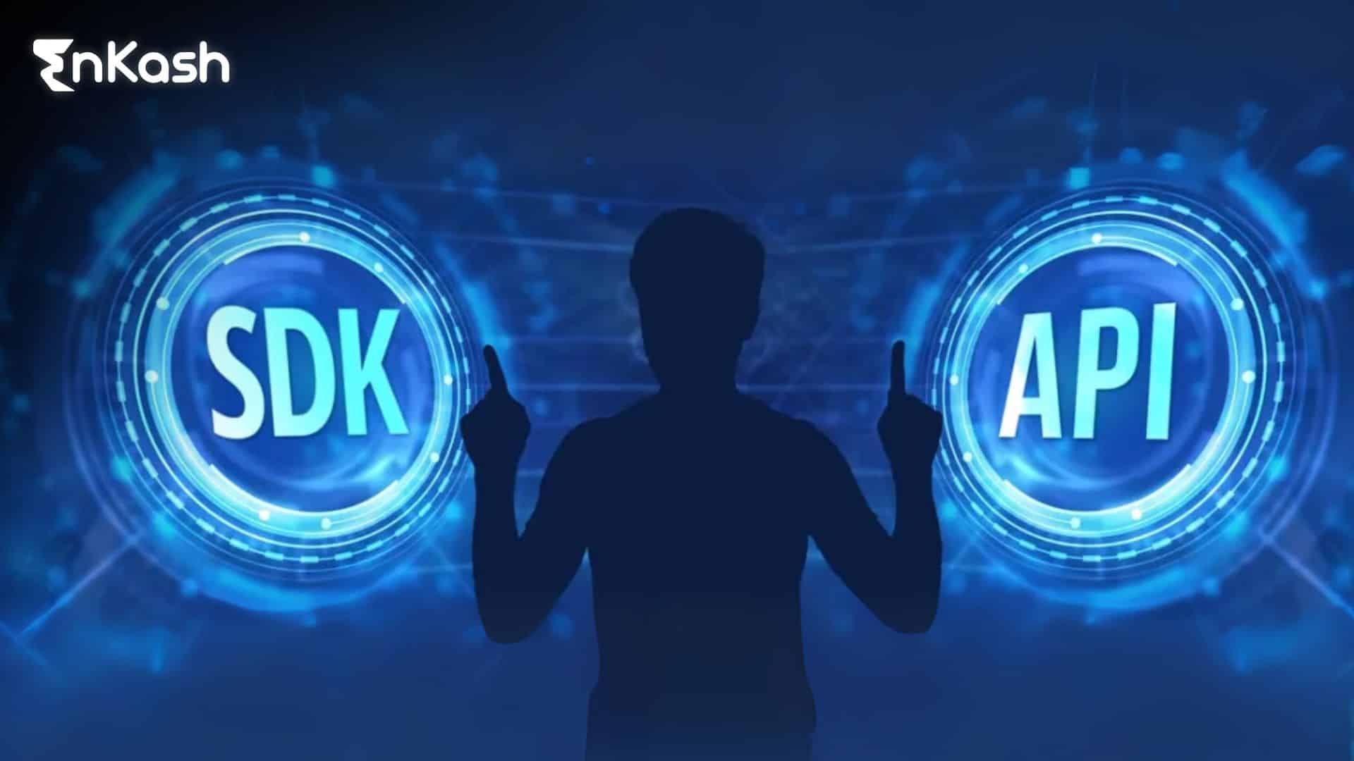 sdk-or-api-choosing-right-payment-integration
