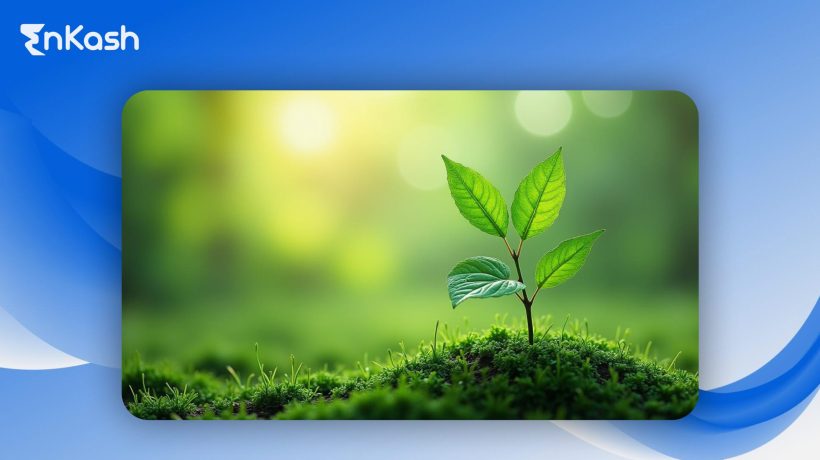 248_Why Should Startups Invest in Sustainable Technology_